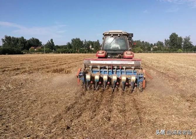 麦茬水稻 麦茬稻病虫害防治(图2)