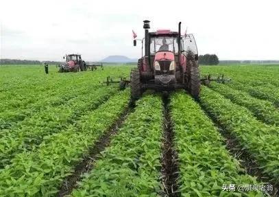 麦茬水稻 麦茬稻病虫害防治(图3)