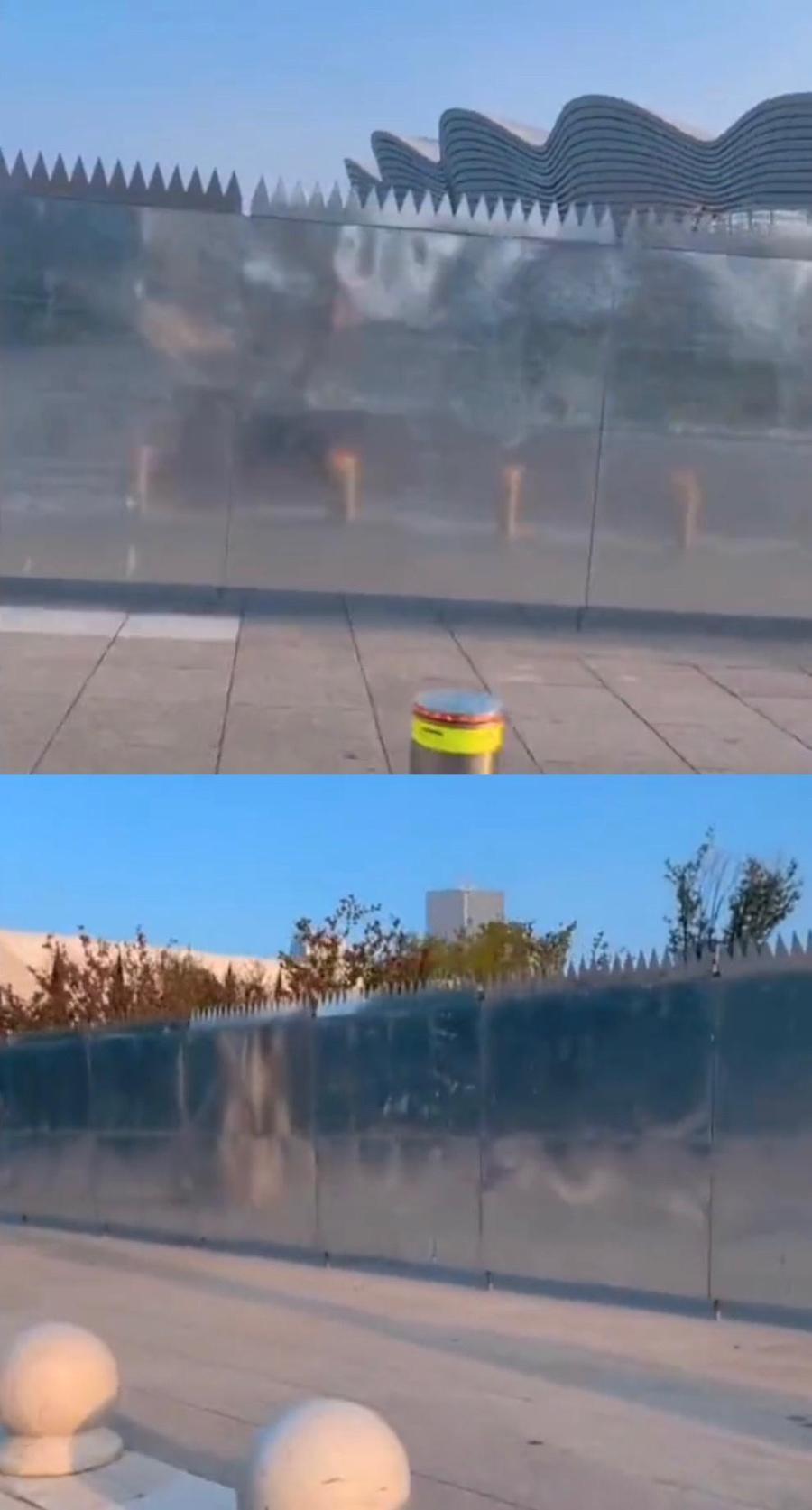 tfboys的演唱会在哪 tfboys演唱会地点(图1)