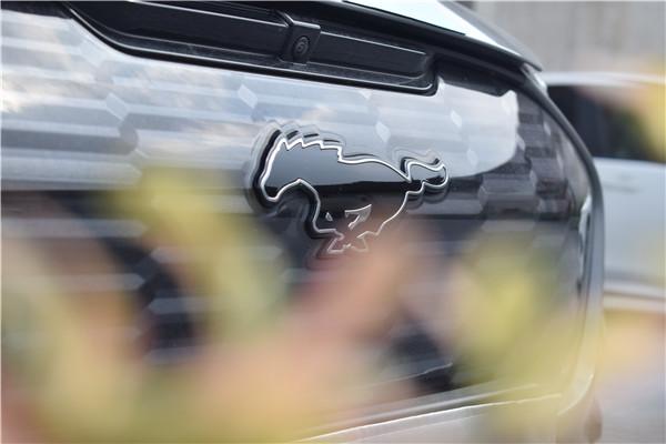 福特电马官网 福特电马mustangmach-e(图2)
