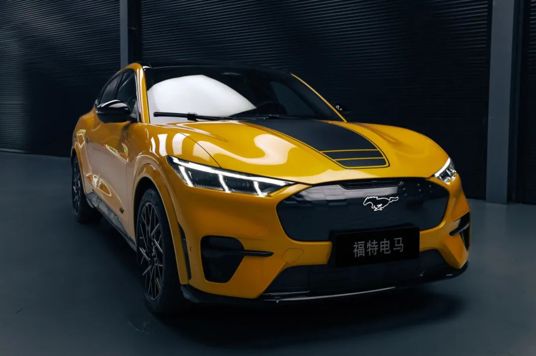 福特电马2023款价格 福特官网(图5)