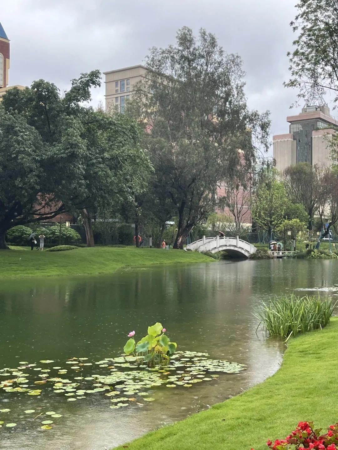 成都8月适合去哪旅游 8月成都周边游(图14)