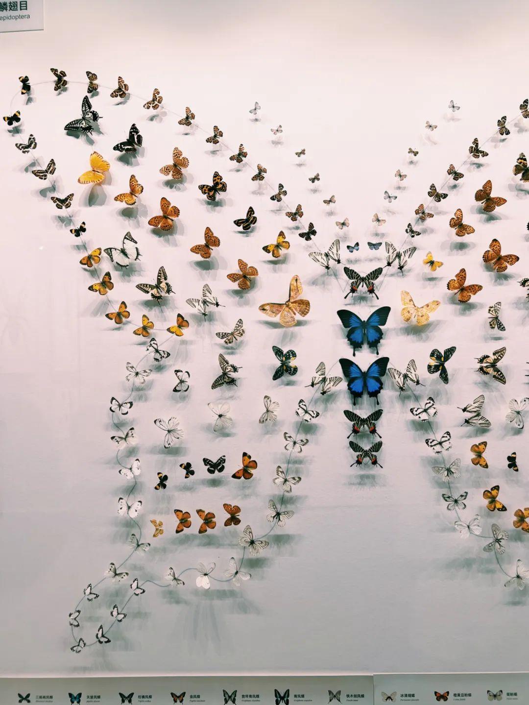 成都8月适合去哪旅游 8月成都周边游(图37)