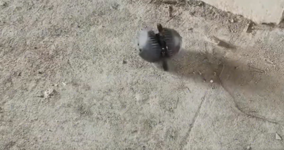 警用穿墙雷达图片 警用穿墙雷达怎么用(图3)