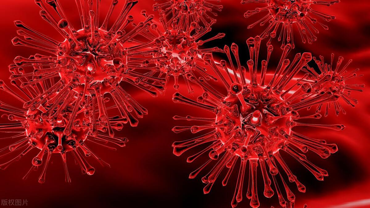 染上梅毒能活多久 染上梅毒会传染吗(图1)