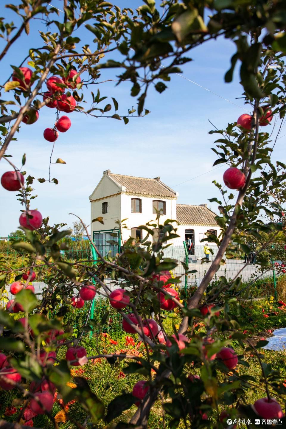 北纬47° 北纬21°(图3)