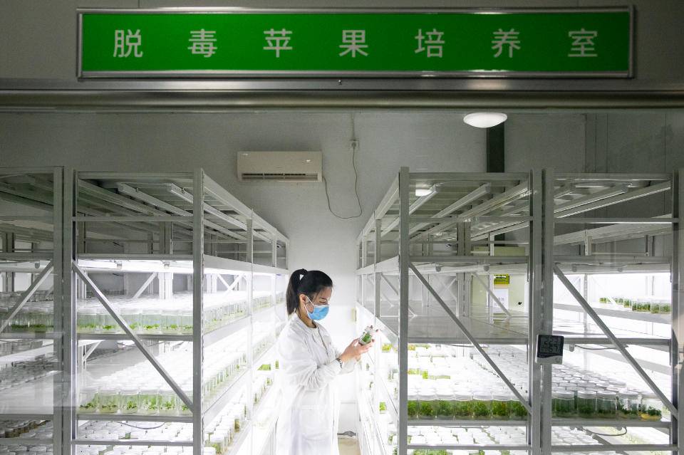 北纬47° 北纬21°(图4)