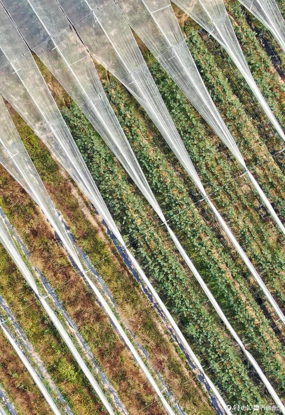 北纬47° 北纬21°(图5)