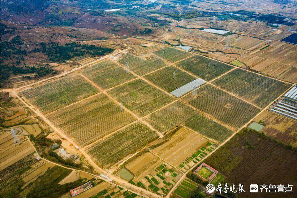 北纬47° 北纬21°(图6)