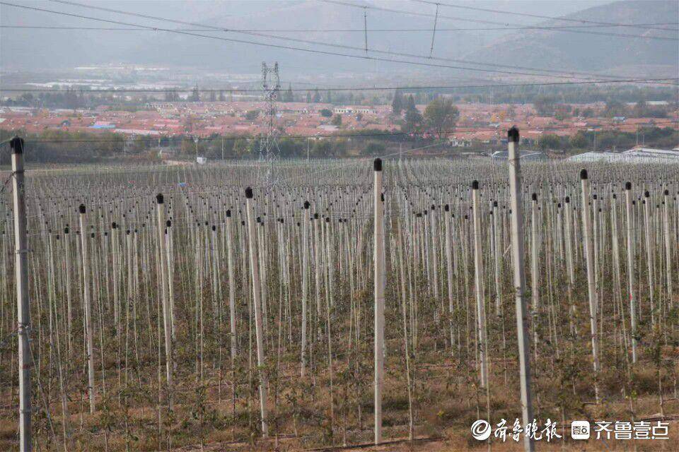 北纬47° 北纬21°(图7)