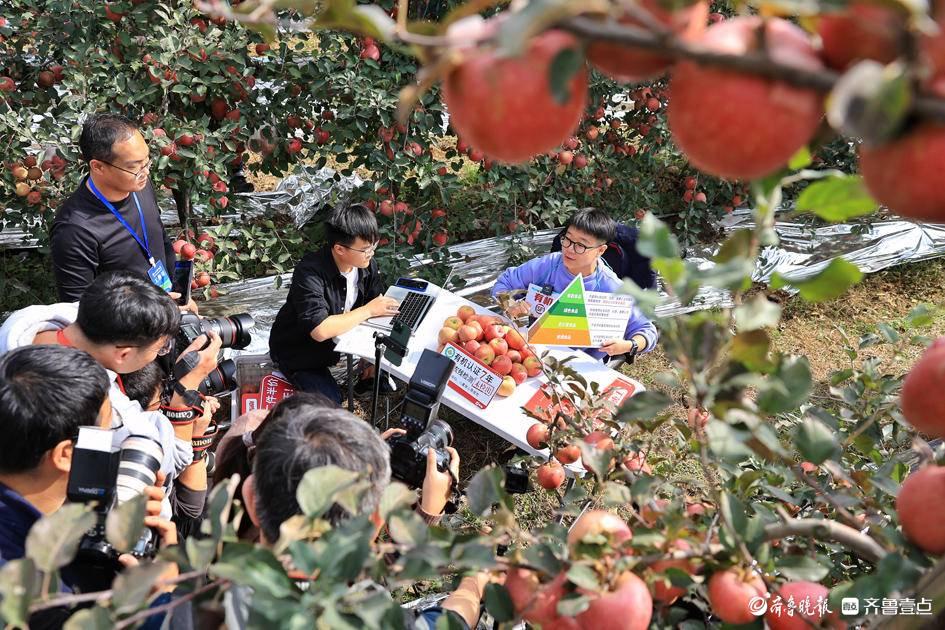 北纬47° 北纬21°(图10)