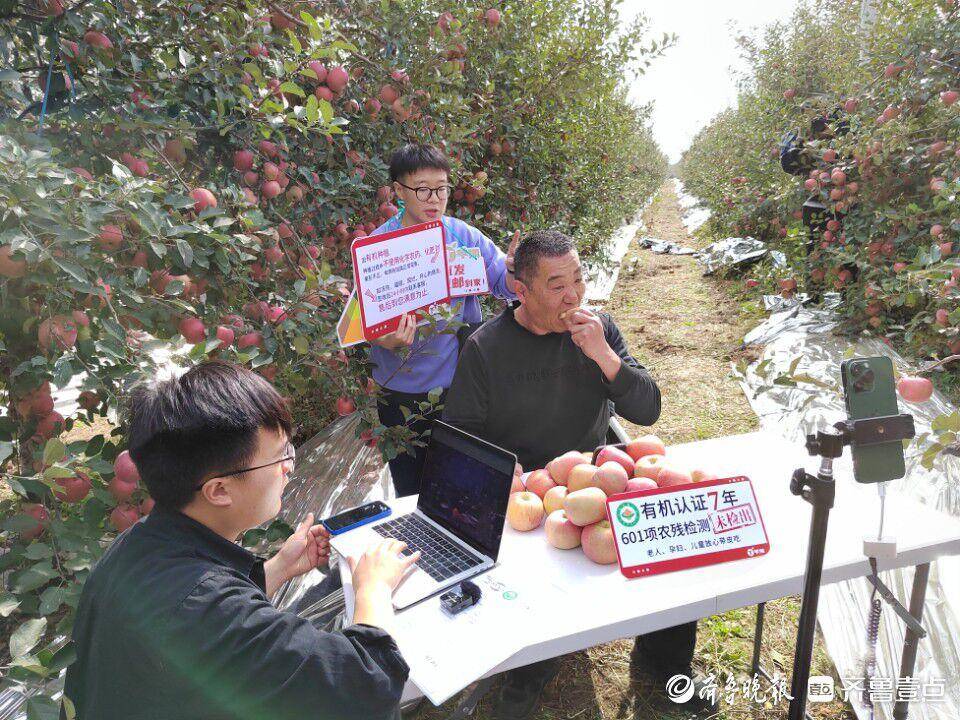 北纬47° 北纬21°(图11)