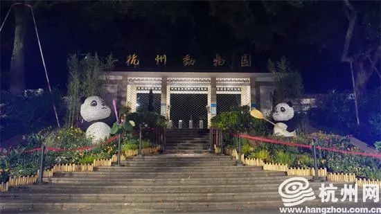 杭州动物园熊猫馆开了吗 杭州动物园的大熊猫去哪了2020年(图1)